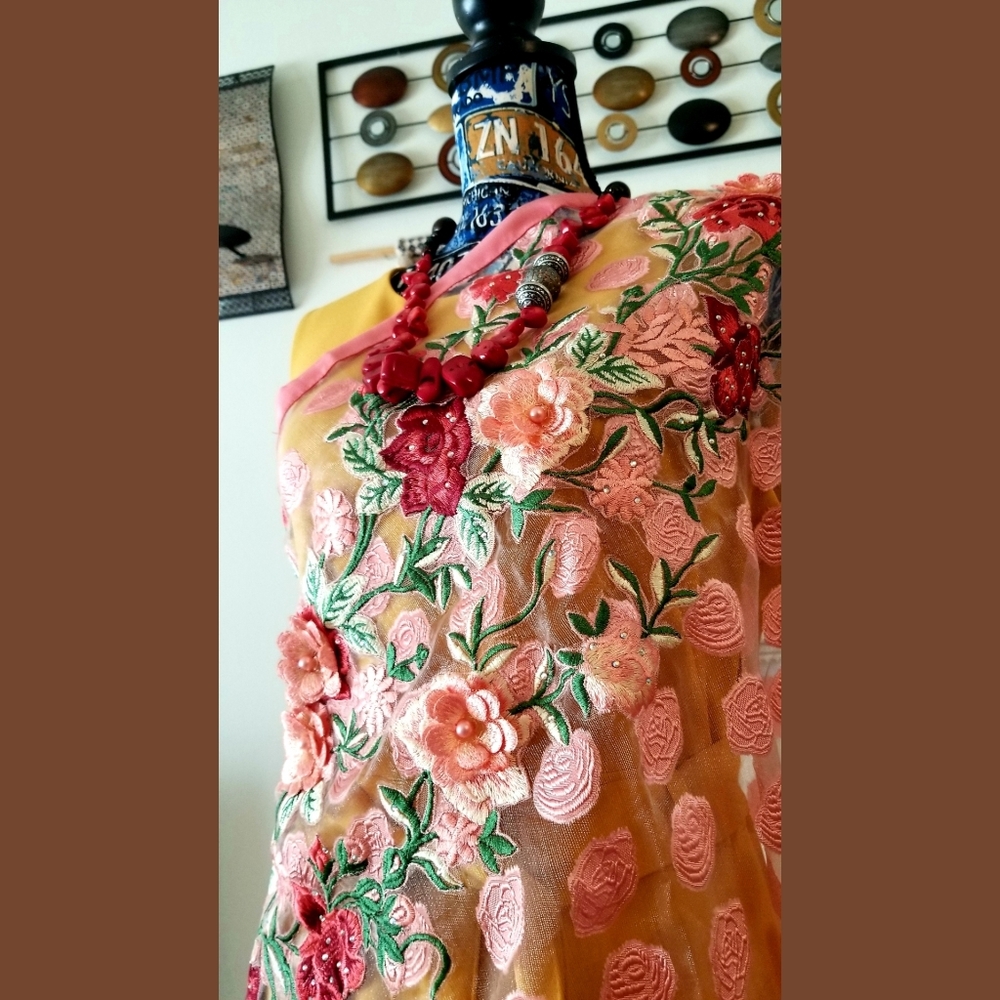Saree, net, fancy, pink,  unique, sheer with polka dots embroidered all over. - Picture 4 of 8